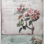 Carte postala - Hartie de orez Floral ITD | 10 modele