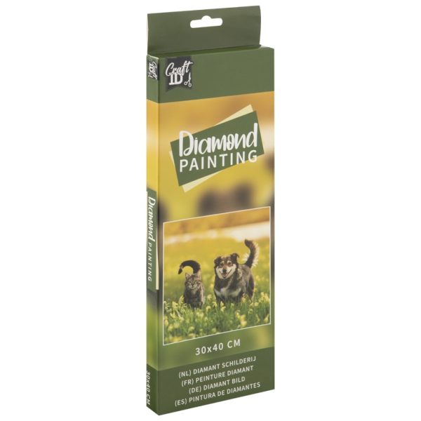 Pictura cu diamante 30x40cm Catel si pisica Craft Sensations CR2094/23GE5