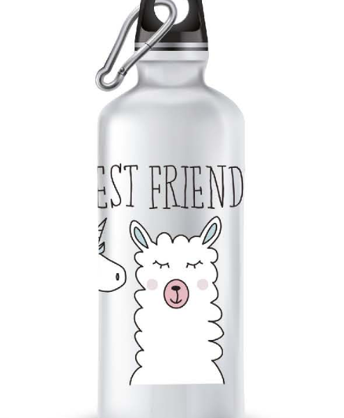 Termos aluminiu 500ml Best friends Marpimar 21BB02