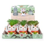 Plantă decorativă plastic LUCKY CAT Trendhaus 961280