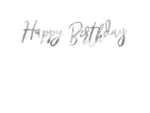 Banner Happy Birthday argintiu 16x62cm Party Deco GRL75-018M