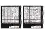 Carte de colorat 30 modele CraftID CR5027/GE